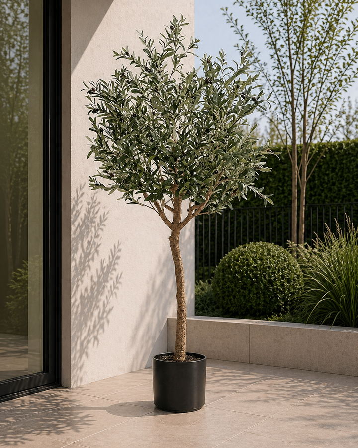 Kunstplant - Olea europaea - Olijfboom - 180 cm