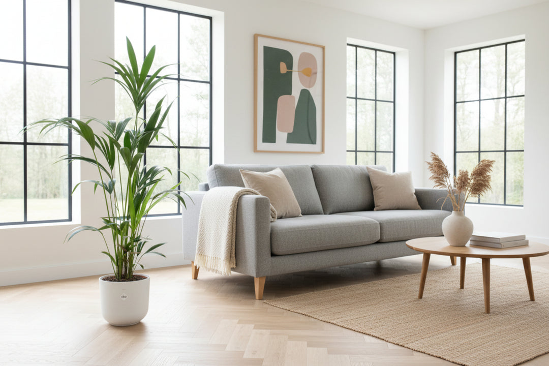 Combi deal - Kentia palm inclusief elho Jazz Round - 160cm