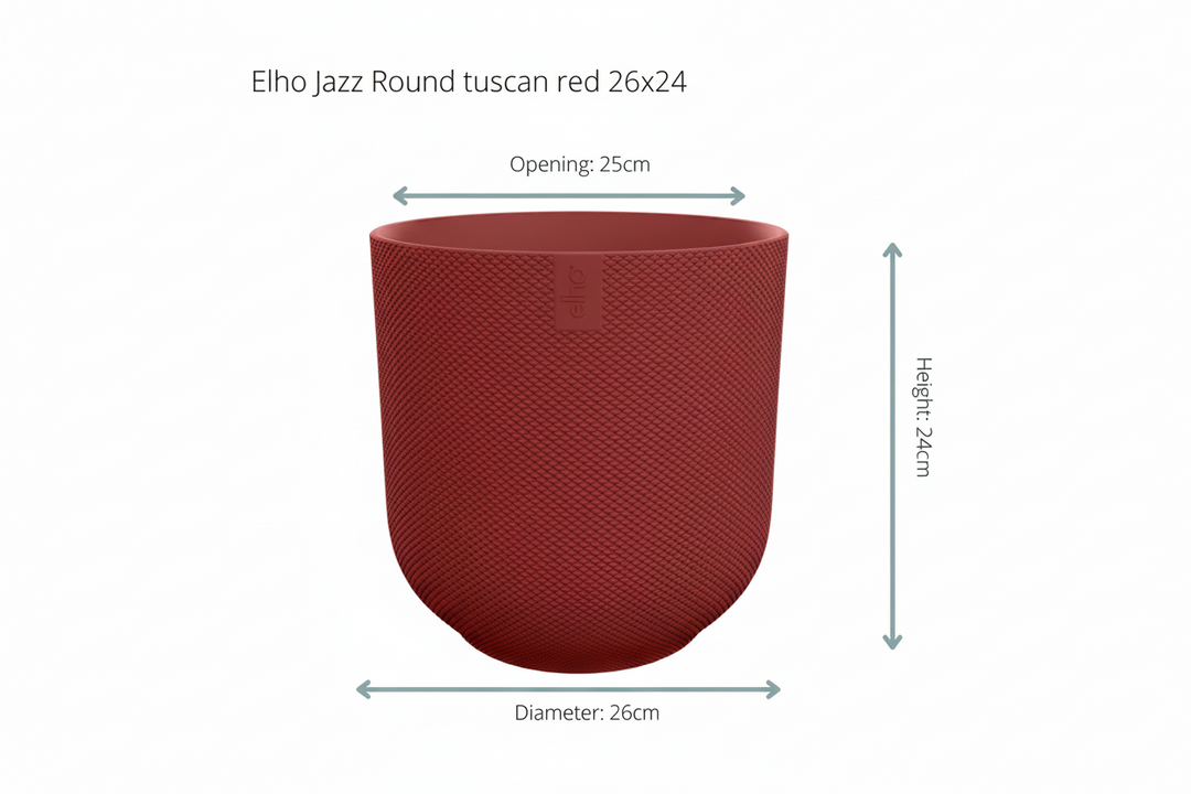 Combi deal - Kentia palm inclusief elho Jazz Round - 160cm