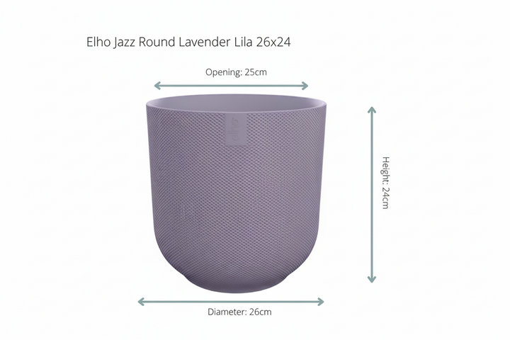 Combi deal - Kentia palm inclusief elho Jazz Round - 160cm