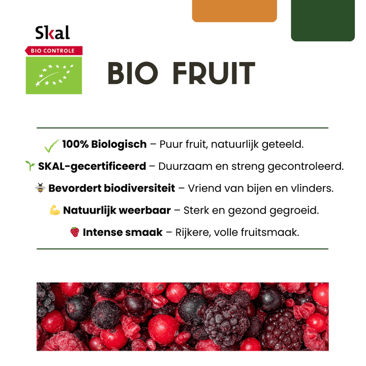 Plants de mûres biologiques - 20cm - Acheter une plante d'intérieur