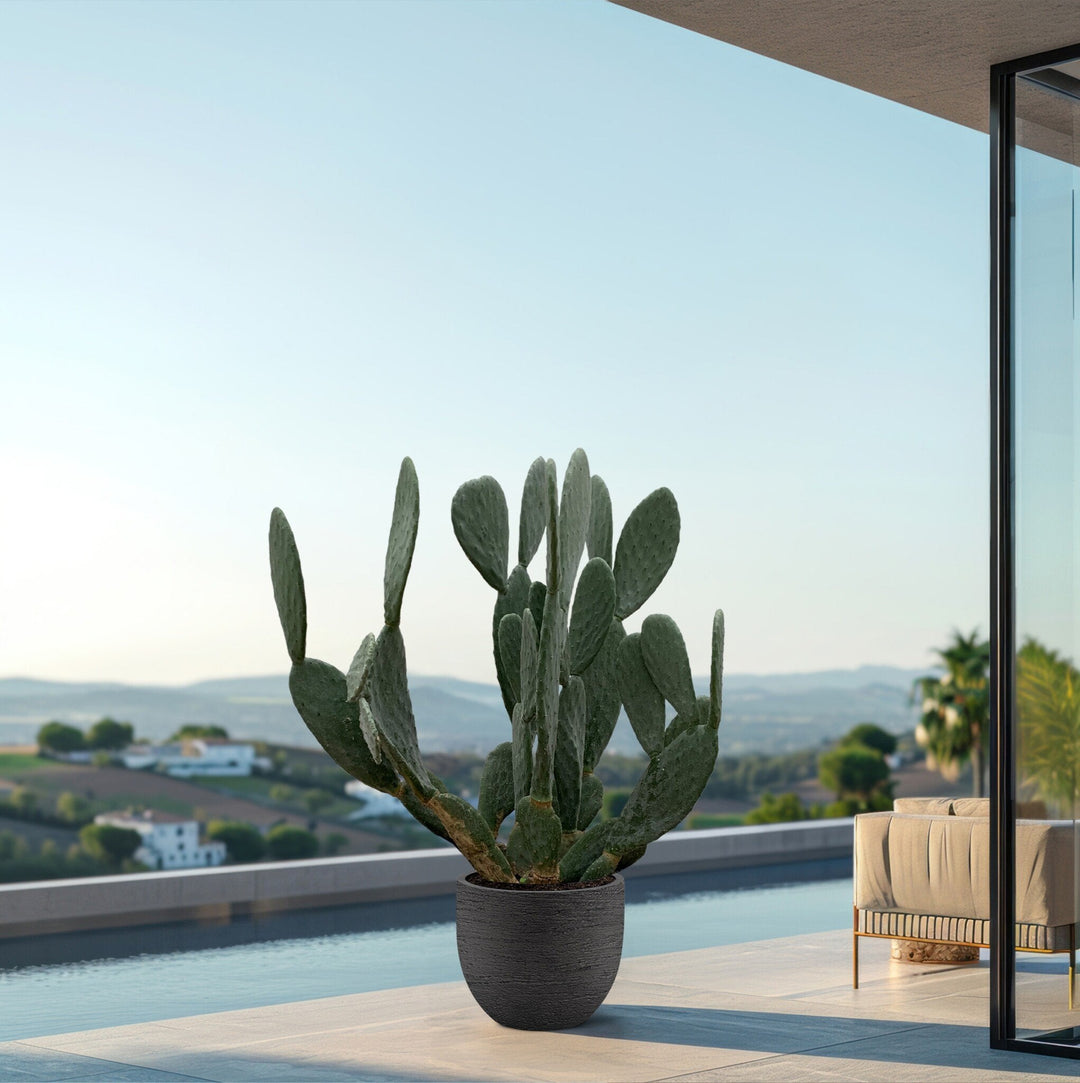 Cactus Opuntia - 120cm - Cactus Mix - Cactus Set Kamer