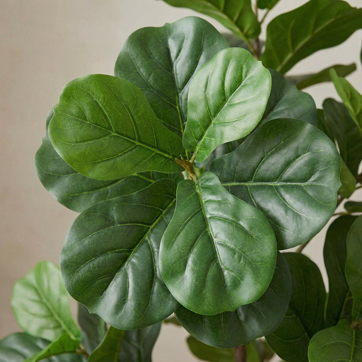 Ficus lyrata artificiel ramifié - 150cm - Figuier lyre