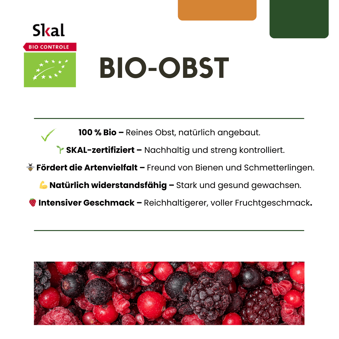 Plantes de vigne biologiques - 20cm - Acheter une plante d'intérieur