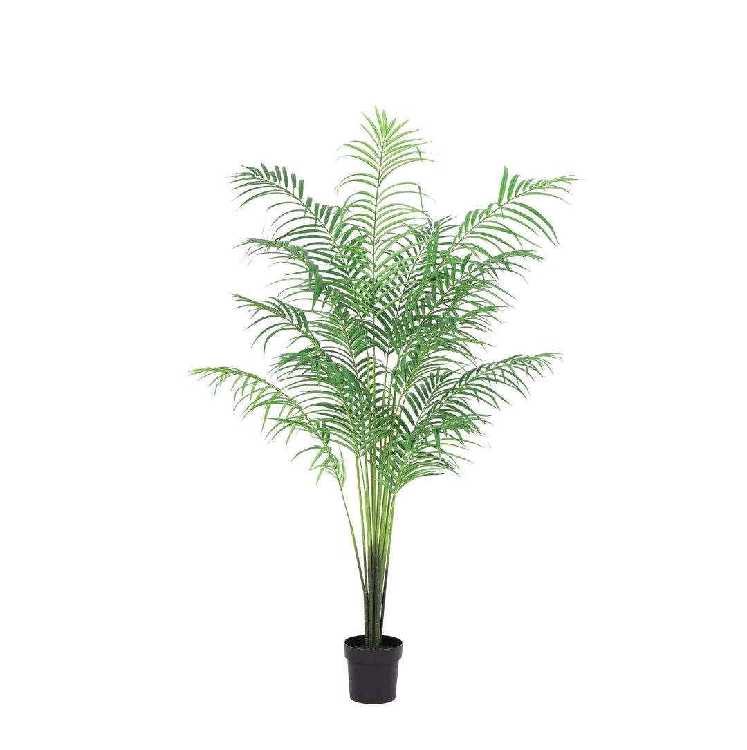 Kentia artificiel - 170cm - Acheter une plante d'intérieur