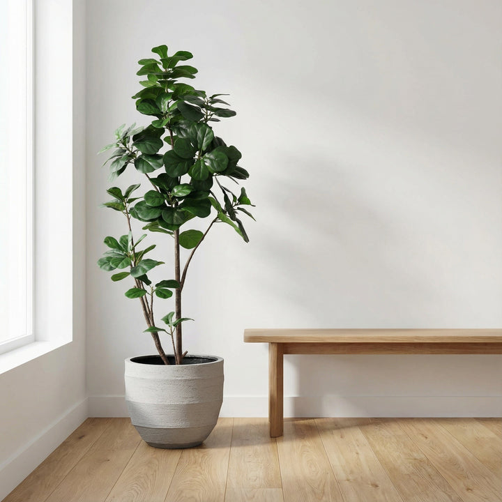 Ficus lyrata artificiel ramifié - 150cm - Figuier lyre