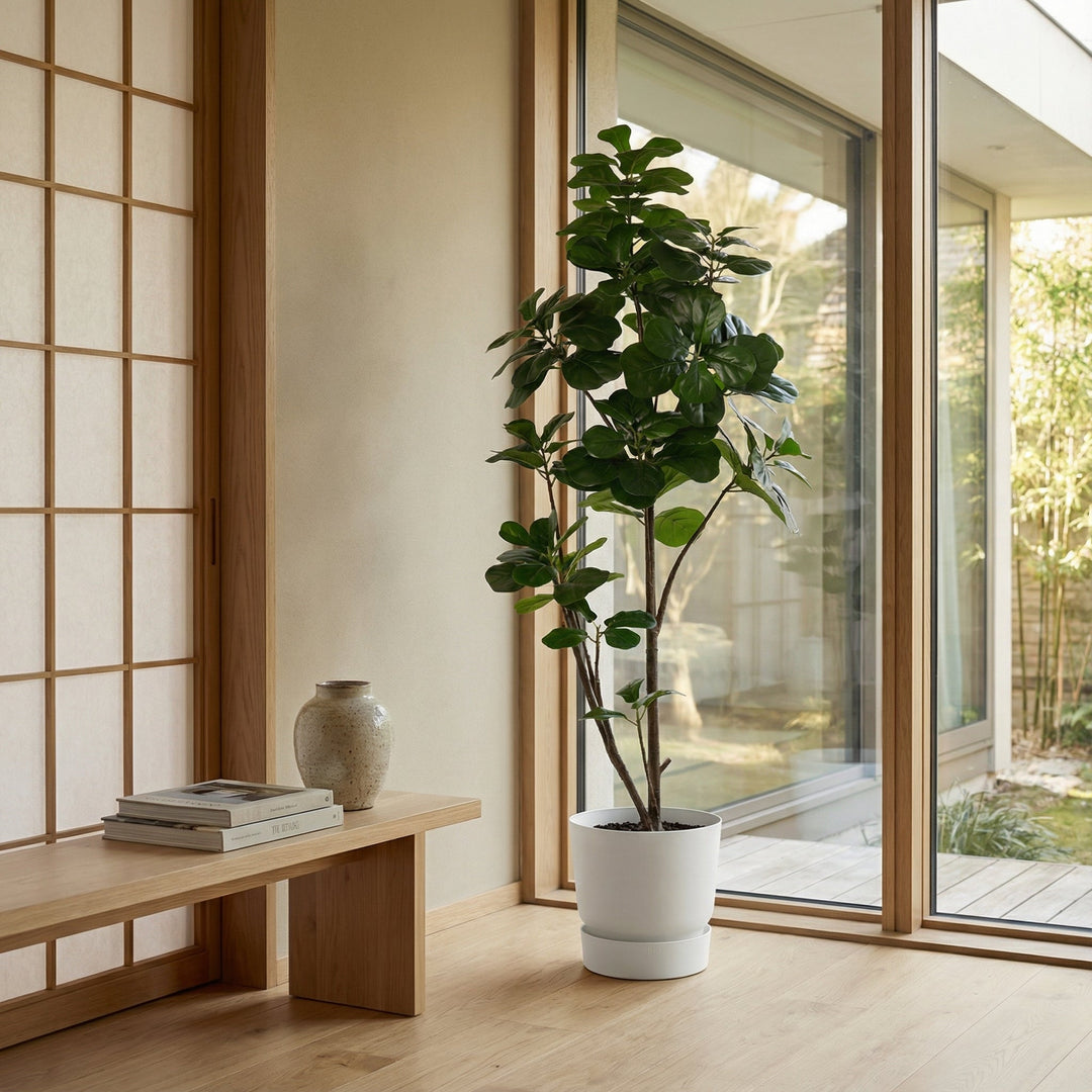 Ficus lyrata artificiel ramifié - 150cm - Figuier lyre