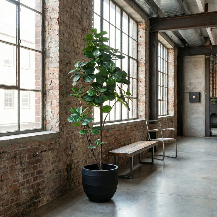 Ficus lyrata artificiel ramifié - 150cm - Figuier lyre