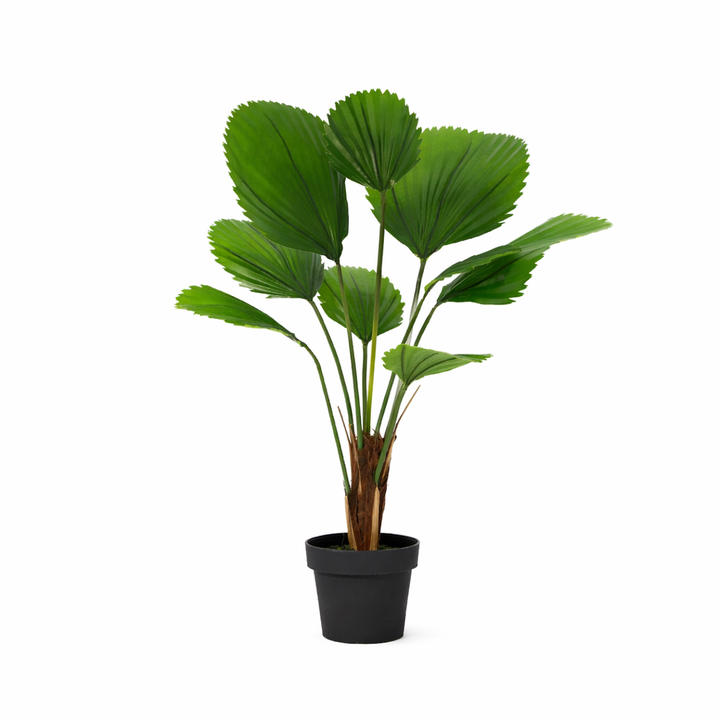 Licuala Grandis - 104cm - Plante Artificielle - Fausse Plante d'Intérieur