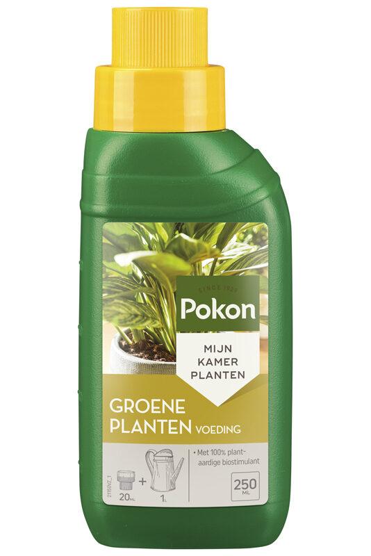Nourriture pour Plantes Vertes 250ML - Soin des Plantes