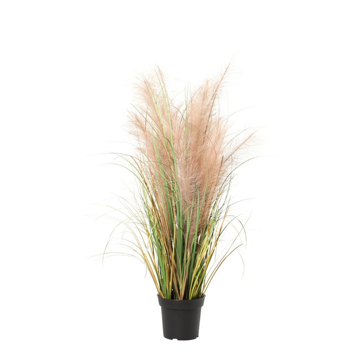 Phragmites grass - 95cm- Kunstplant - Nep Plant Interieur
