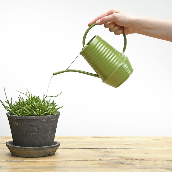Arrosoir - Zinc - 1 litre - Vert - Entretien des plantes