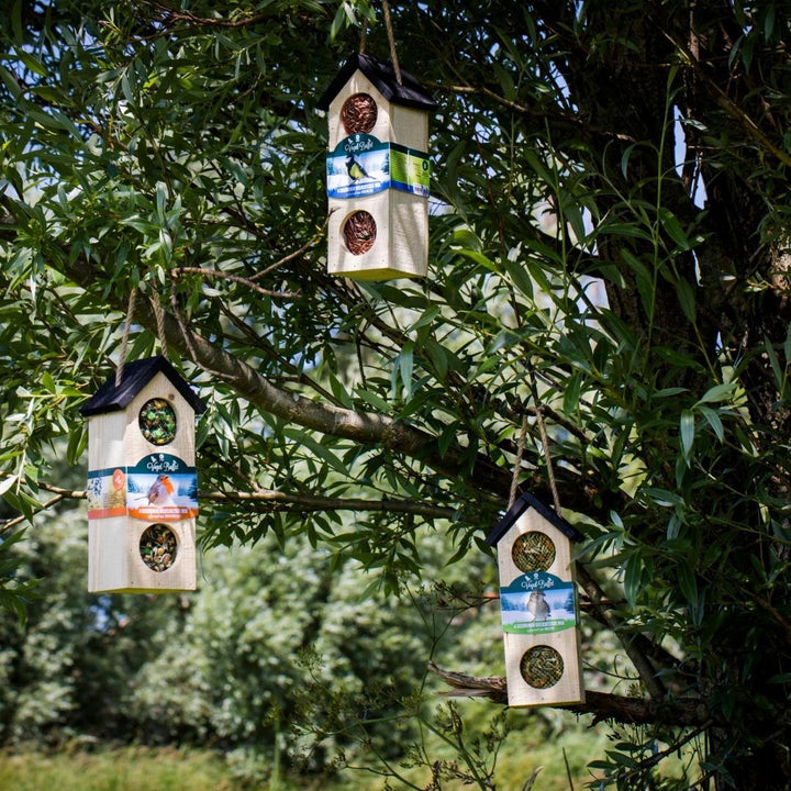 Bird Buffet | Nourriture pour oiseaux Bird Chalet Mix Lot de 4 | 4x 200gr