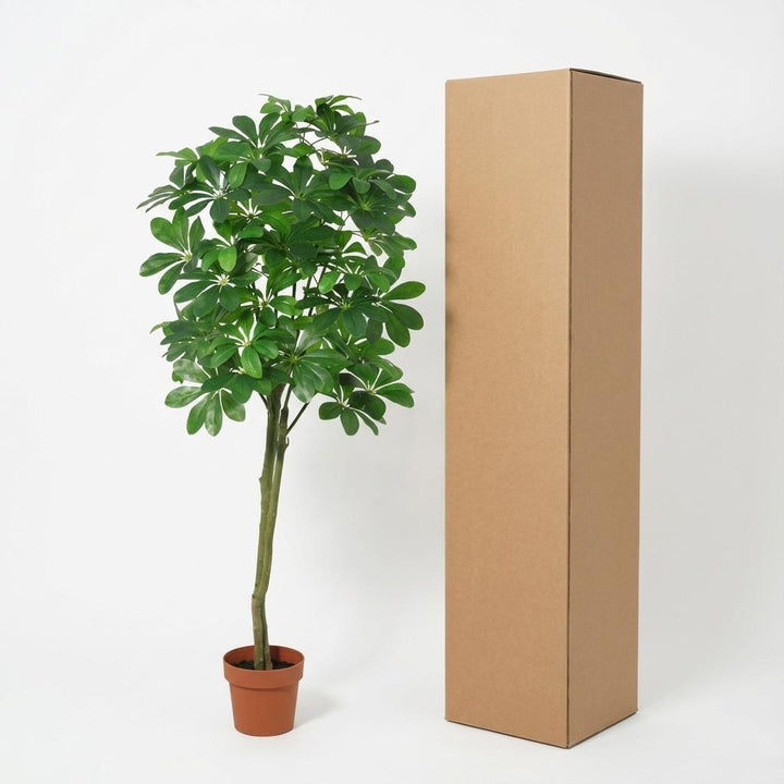 Pachira Aquatica - 150cm- Kunstplant - Geldboom - Nep Plant Interieur