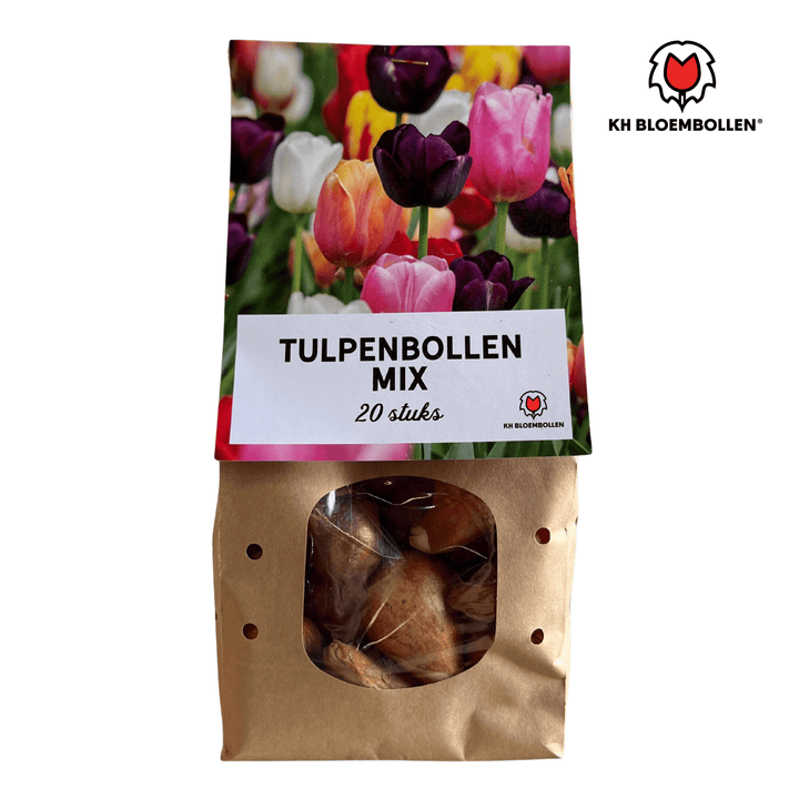 Mélange coloré de bulbes de tulipes - 20 pièces - Bulbes de fleurs de jardin