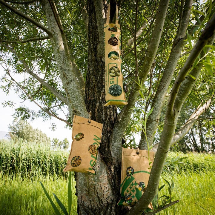 Bird Buffet | Mélange de graines pour oiseaux ECO Sachet Lot de 4 | 4x 300gr