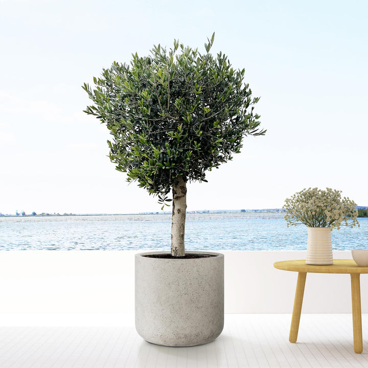 Grand Pot de Fleurs Extérieur Jumbo Charlie Beige Lavé – Ø62 x H60cm