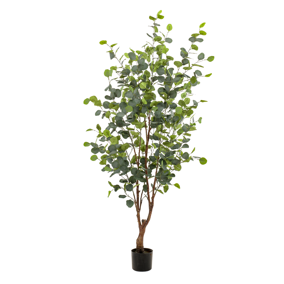 Plante artificielle - Eucalyptus - Gomme bleue - 140 cm | Premium