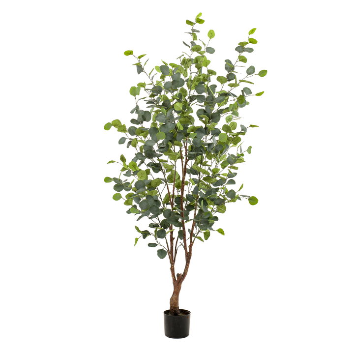 Plante artificielle - Eucalyptus - Gomme bleue - 140 cm | Premium