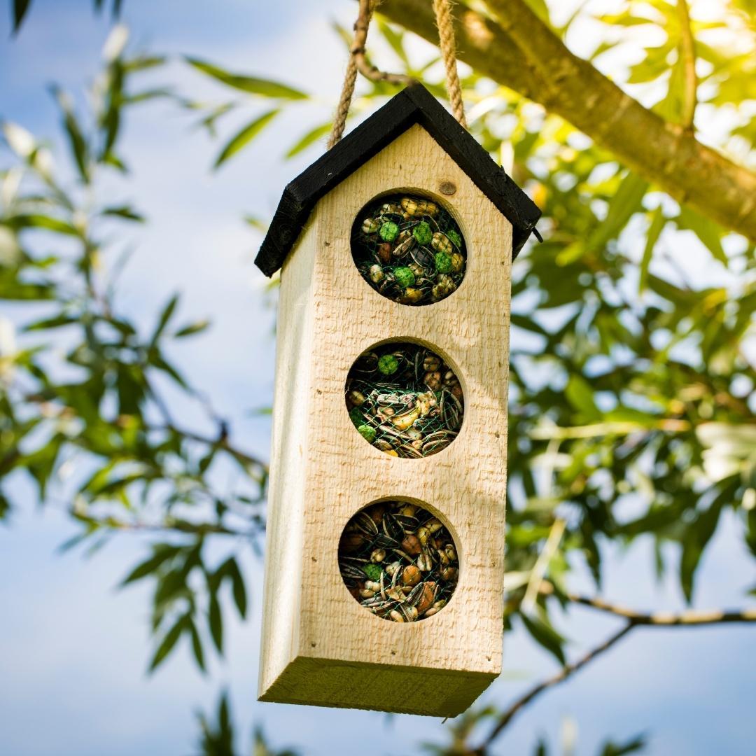 Bird Buffet | Nourriture pour oiseaux Bird Chalet Mix Lot de 4 | 4x 200gr