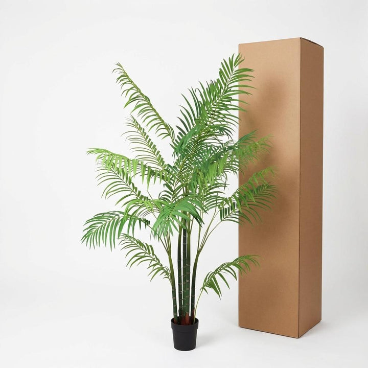 Areca - 190cm - Kunstplant - Goudpalm - Kamerplant Kopen