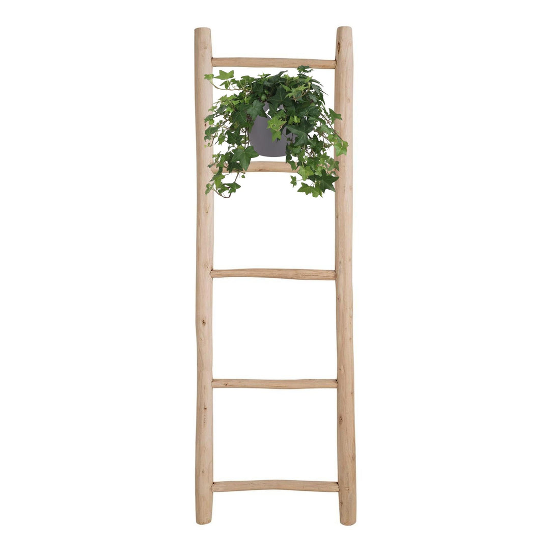 Hedera Helix Groen - Hangpot Wit / Basic - Ø17cm - 50cm