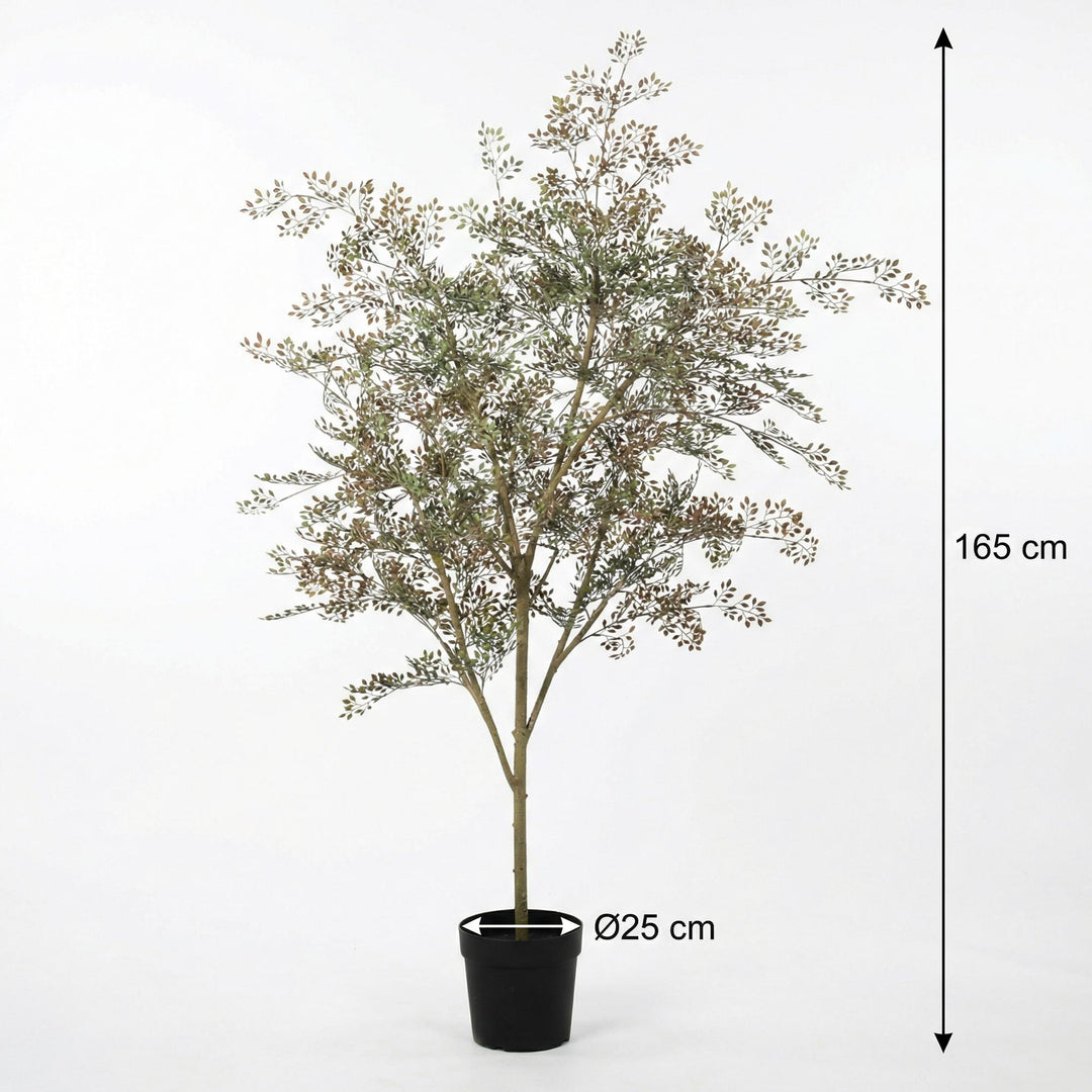Plante artificielle Bucida - 165cm - Faux Végétal Intérieur | Acheter