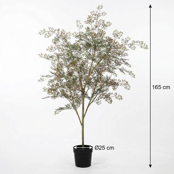 Plante artificielle Bucida - 165cm - Faux Végétal Intérieur | Acheter