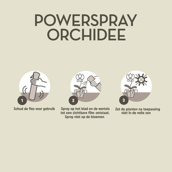 Pokon Powerspray orchidee 300 ml - Phalaenopsis Orchidee
