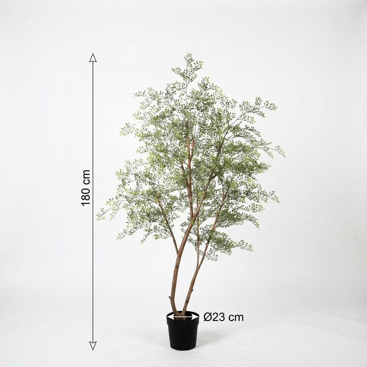 Cassia boom - 180cm - Kunstplant - Nep Plant Interieur