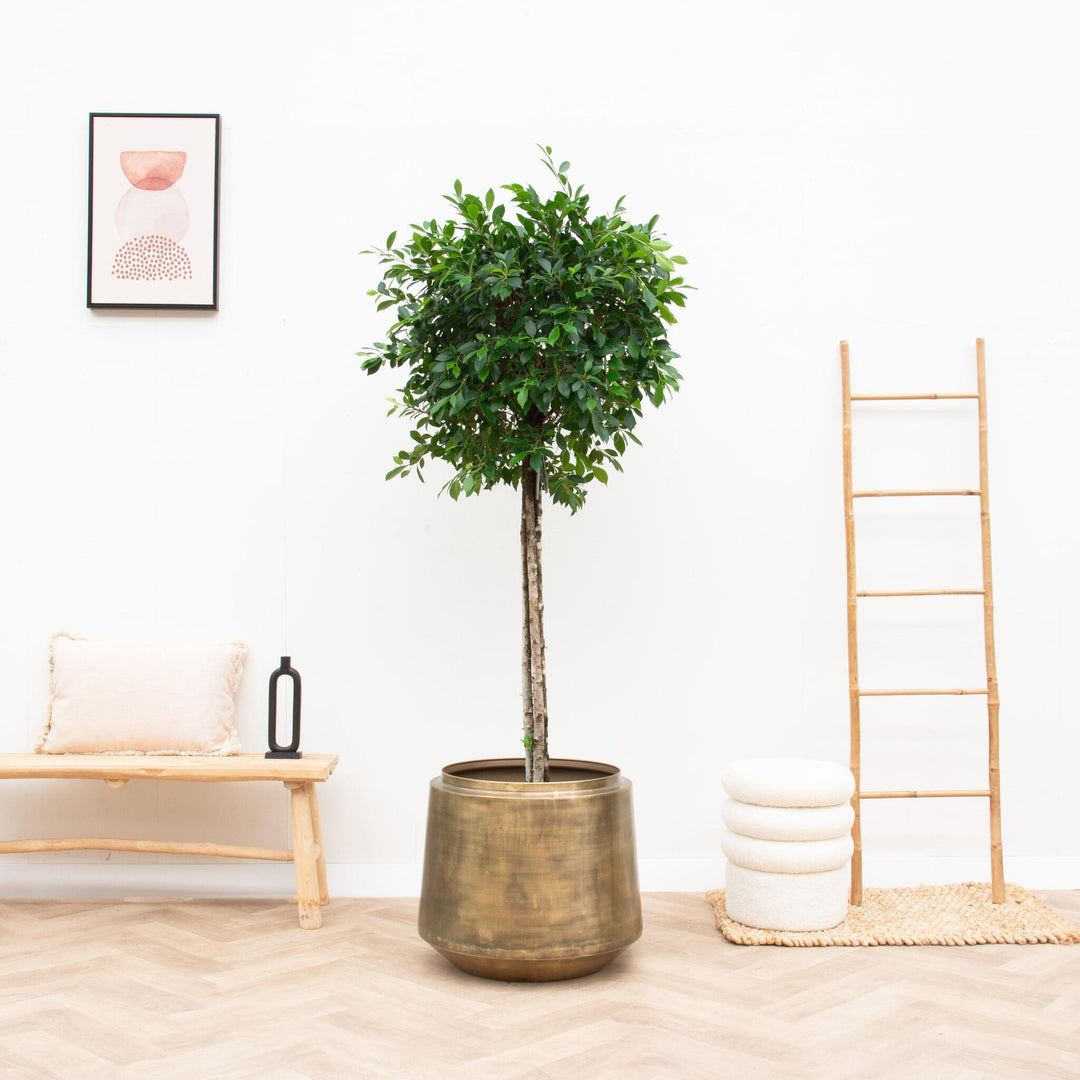 Decoratieve Bloempot Indigo Vintage Gold – Ø33 x H31cm | Kamerplant