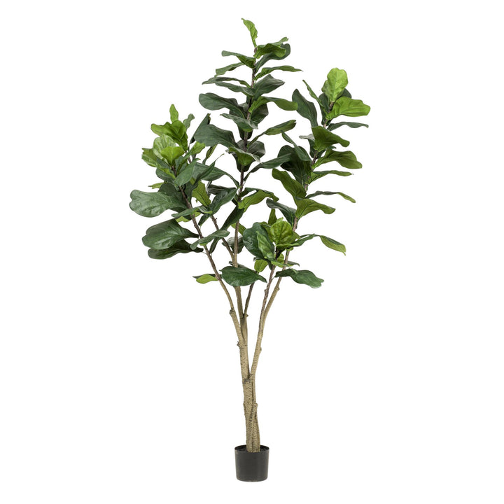 Kunstplant - Ficus Lyrata - Tabaksplant - 210cm - Vioolbladplant