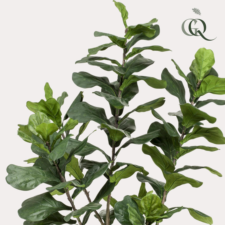 Kunstplant - Ficus Lyrata - Tabaksplant - 210cm - Vioolbladplant