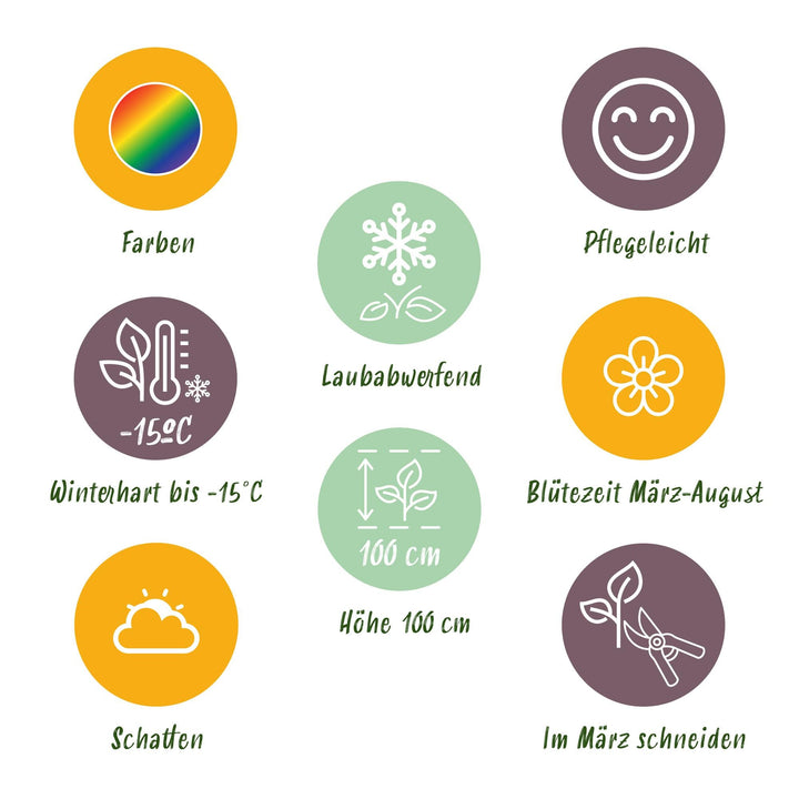 Borderpakket - schaduw