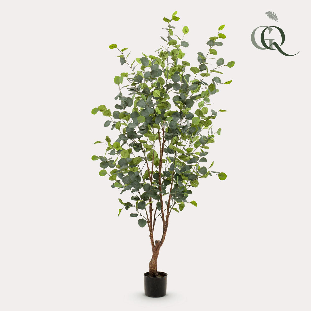 Plante artificielle - Eucalyptus - Gomme bleue - 140 cm | Premium