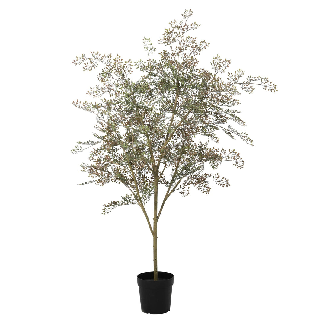Plante artificielle Bucida - 165cm - Faux Végétal Intérieur | Acheter