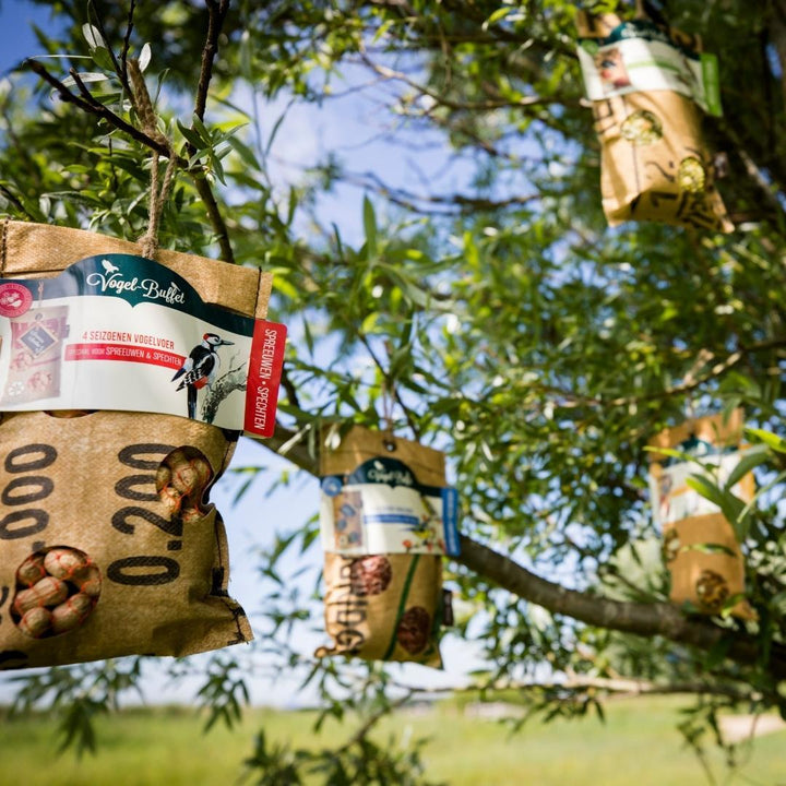 Bird Buffet | Mélange de graines pour oiseaux ECO Sachet Lot de 4 | 4x 300gr
