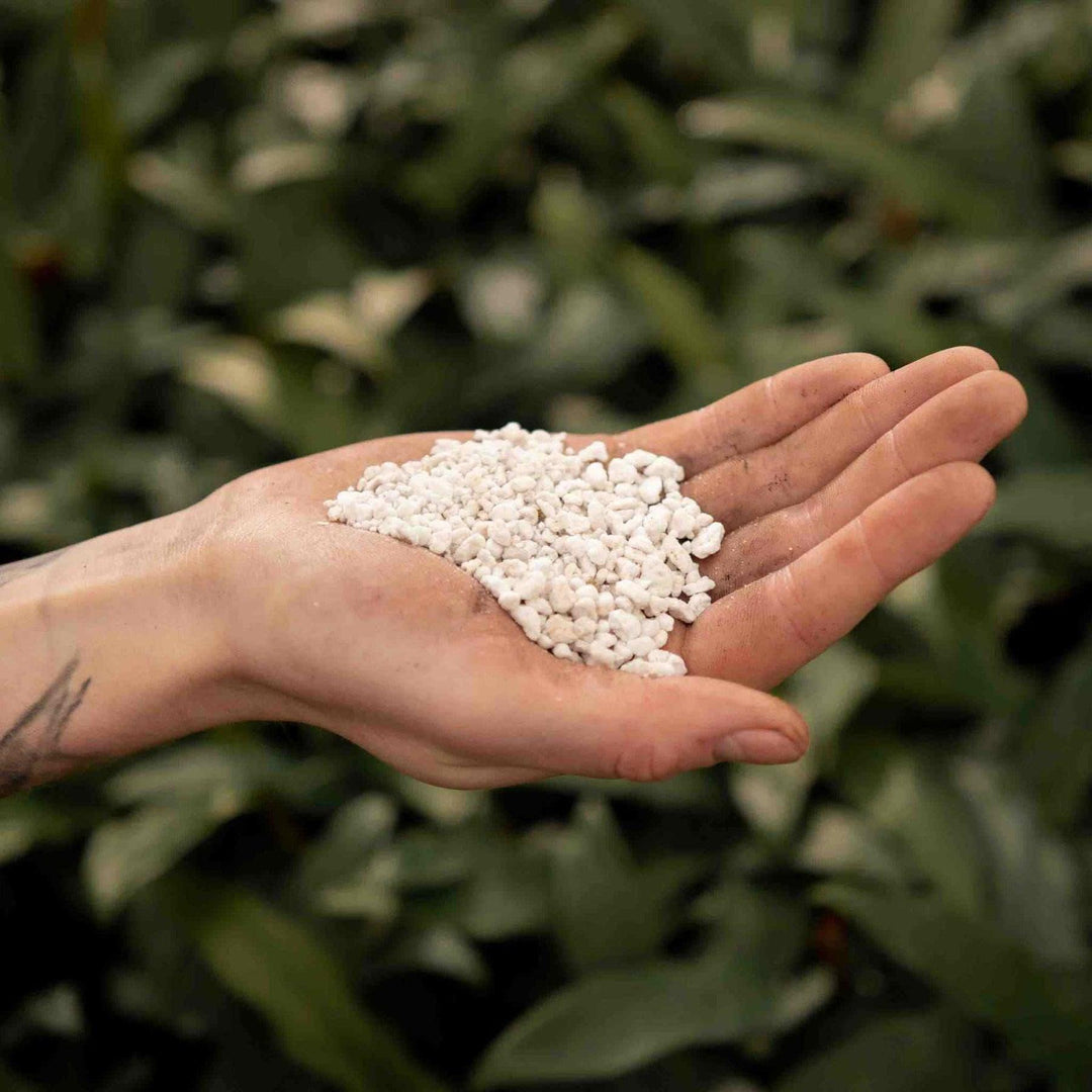 Perliet 3L - Plantenverzorging