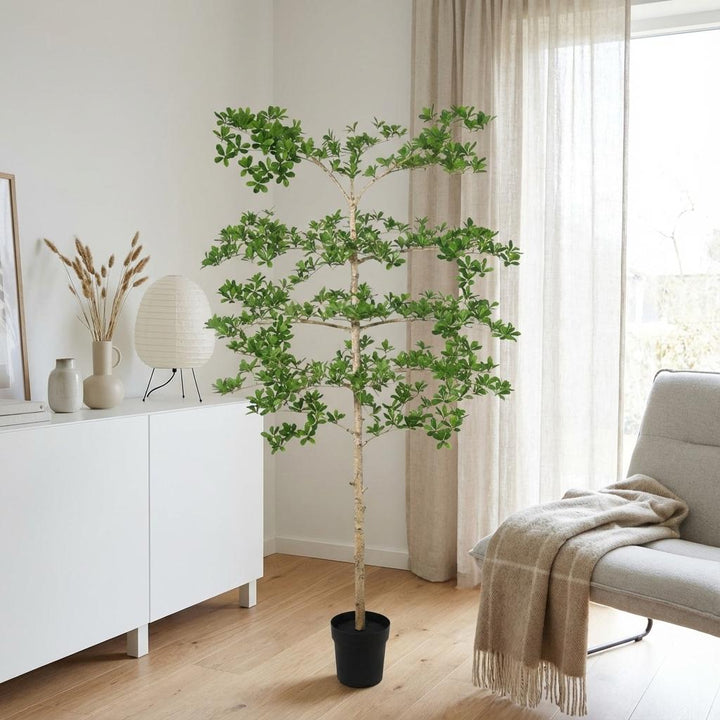 Bucida - 200cm - Plante artificielle - Fausse plante d'intérieur | Acheter
