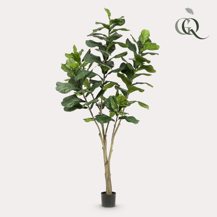 Kunstplant - Ficus Lyrata - Tabaksplant - 210cm - Vioolbladplant