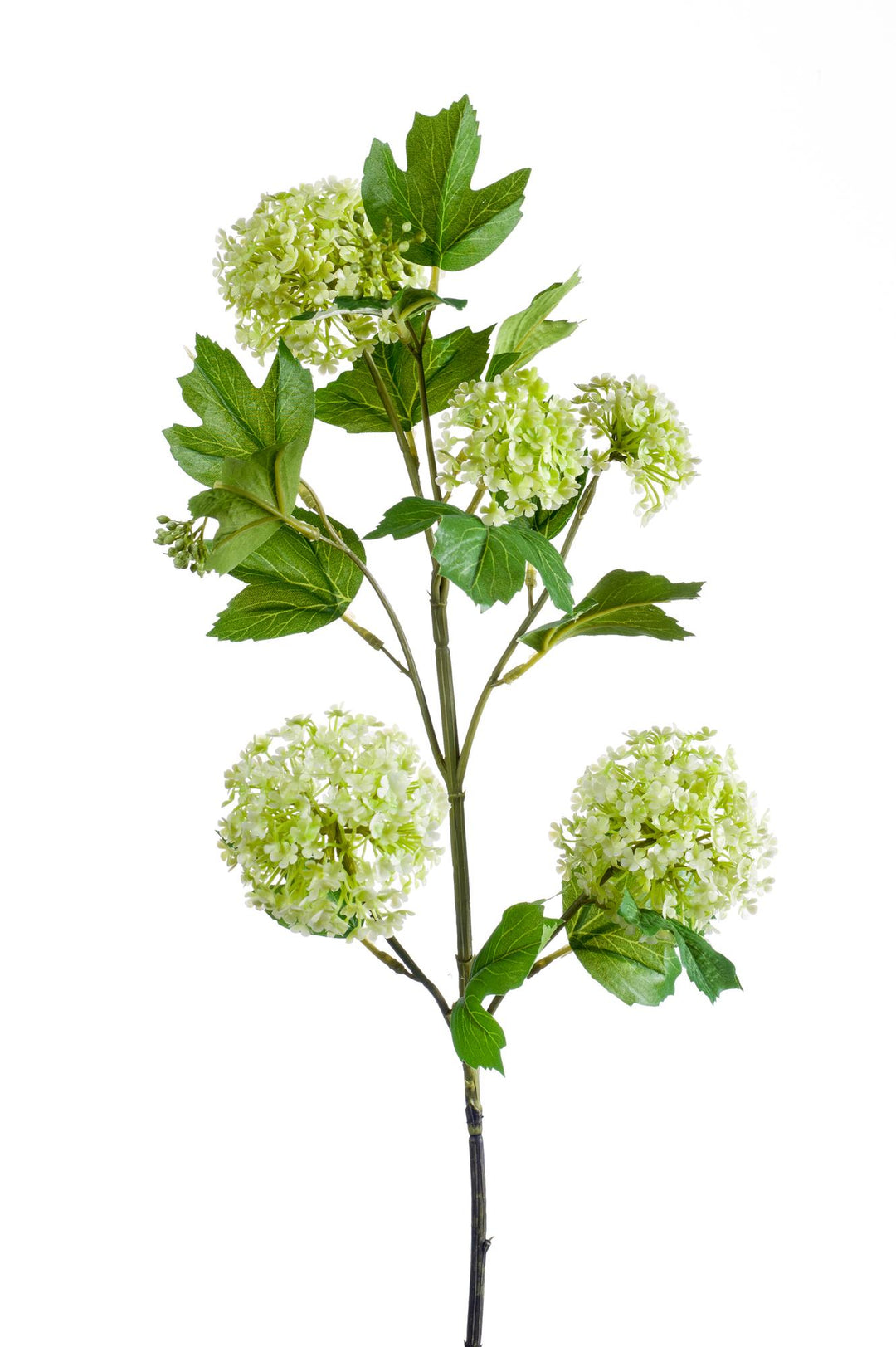 Kunstbloemen Viburnum Tak Crème – 75cm | Bloesem Set van 4