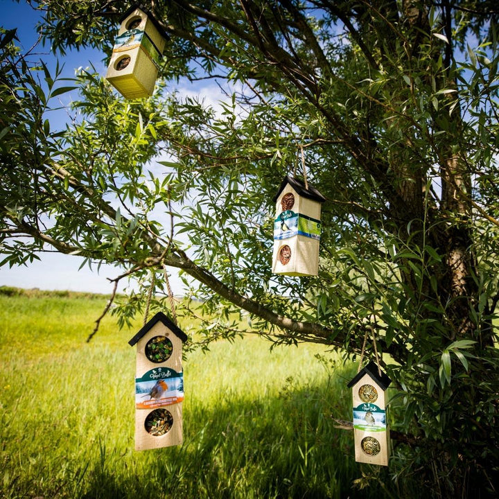 Bird Buffet | Nourriture pour oiseaux Bird Chalet Mix Lot de 4 | 4x 200gr