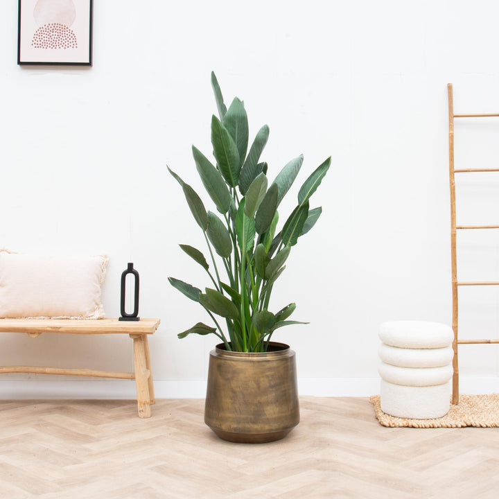 Decoratieve Bloempot Indigo Vintage Gold – Ø33 x H31cm | Kamerplant