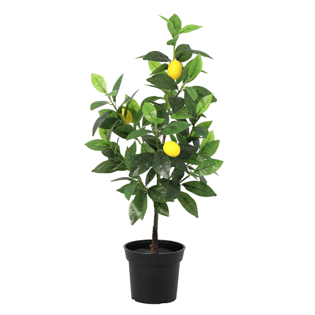 Citroenboom - 65cm- Kunstplant - Nep Plant Interieur