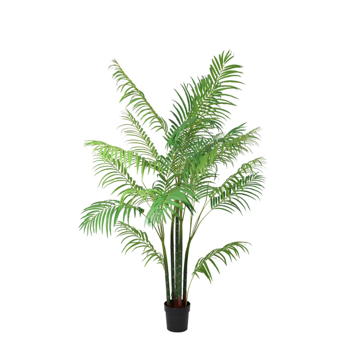 Areca - 190cm - Kunstplant - Goudpalm - Kamerplant Kopen