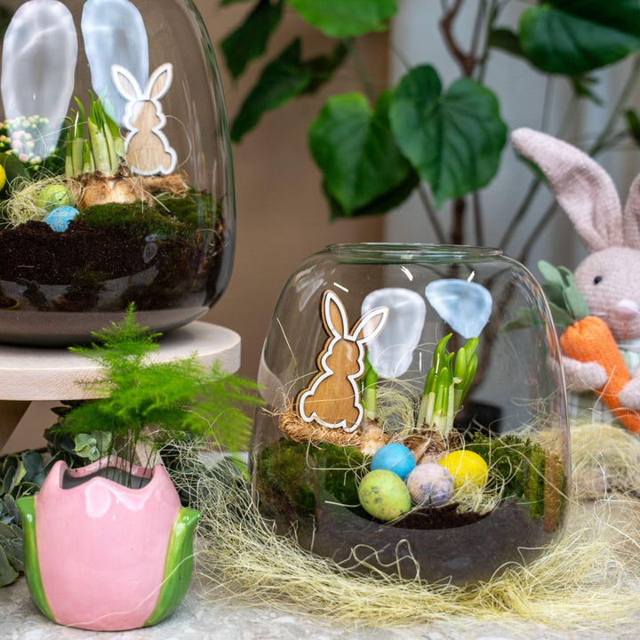 Emma Pasen - Open terrarium - Flessentuin DIY kit - Ø 23 cm 25 cm