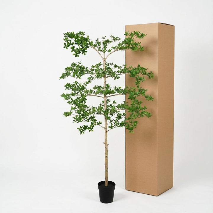 Bucida - 200cm - Plante artificielle - Fausse plante d'intérieur | Acheter
