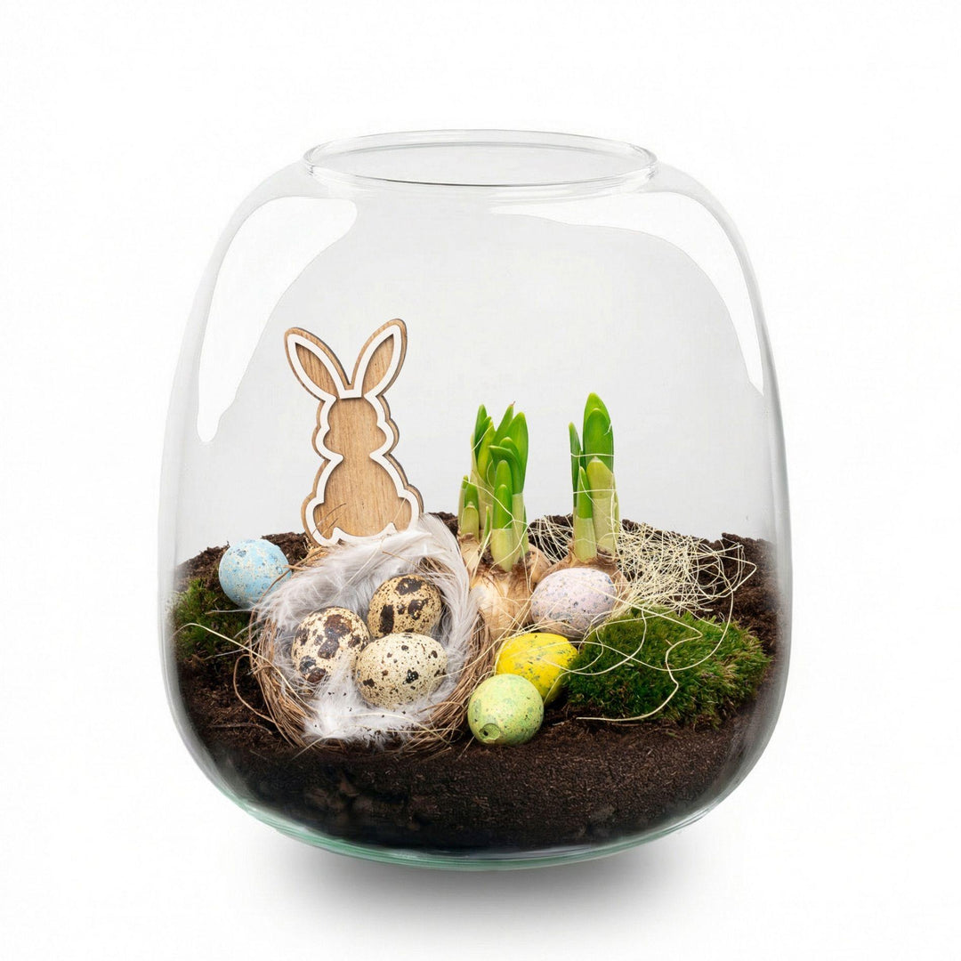 Emma Pasen - Open terrarium - Flessentuin DIY kit - Ø 23 cm 25 cm