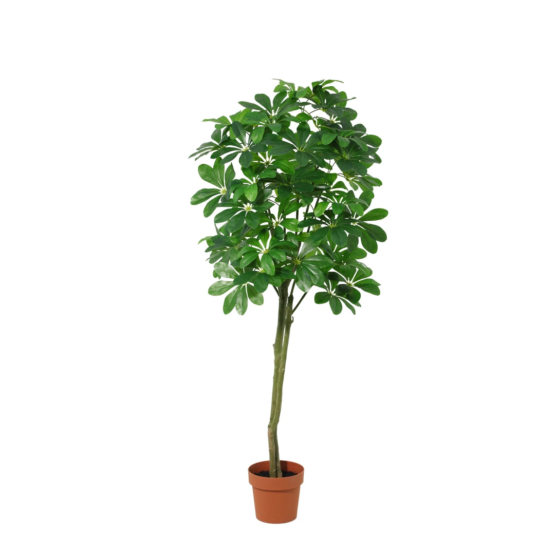 Pachira Aquatica - 150cm- Kunstplant - Geldboom - Nep Plant Interieur