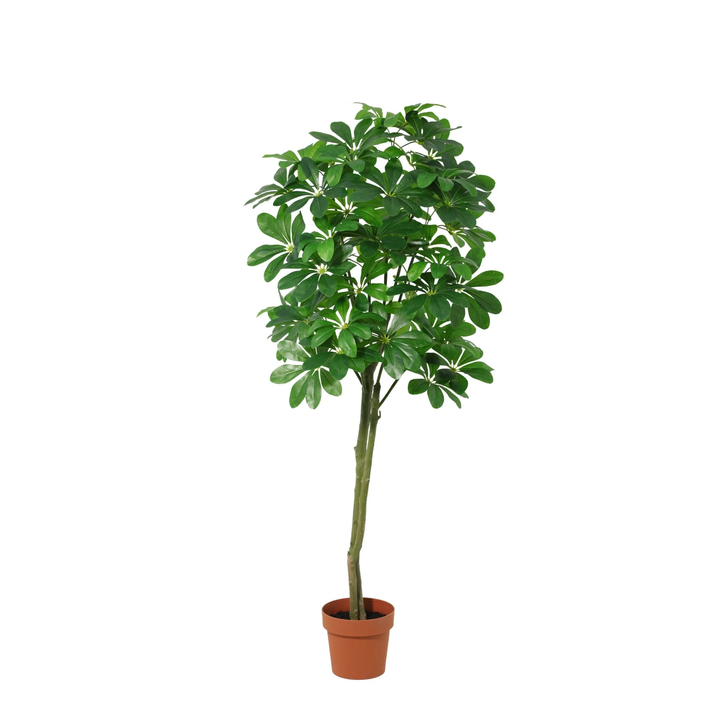 Pachira Aquatica - 150cm- Kunstplant - Geldboom - Nep Plant Interieur